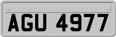 AGU4977