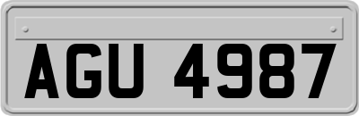 AGU4987