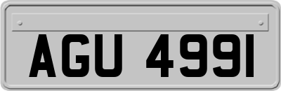 AGU4991