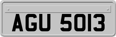 AGU5013