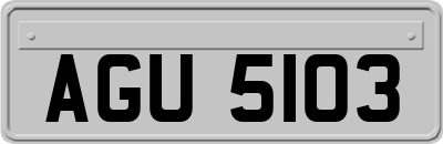 AGU5103