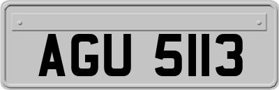 AGU5113