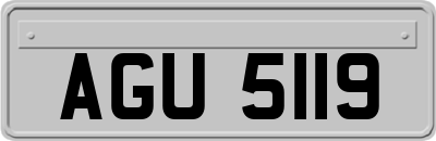 AGU5119