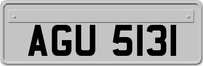 AGU5131
