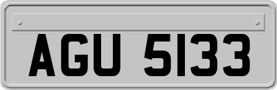 AGU5133