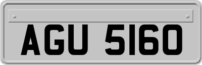 AGU5160