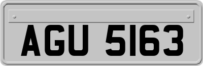 AGU5163