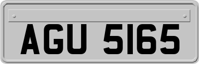 AGU5165