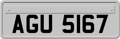 AGU5167