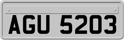 AGU5203