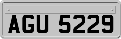 AGU5229