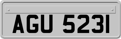 AGU5231