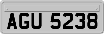 AGU5238
