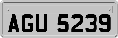 AGU5239