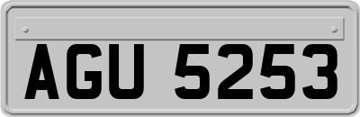 AGU5253