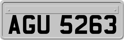 AGU5263