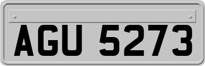 AGU5273