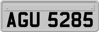 AGU5285