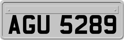 AGU5289