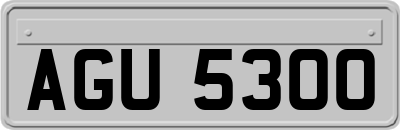 AGU5300