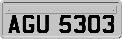 AGU5303