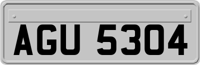 AGU5304