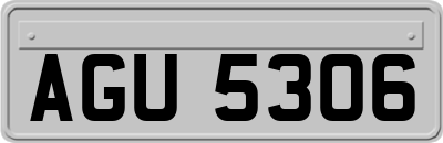 AGU5306