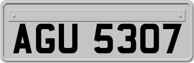 AGU5307