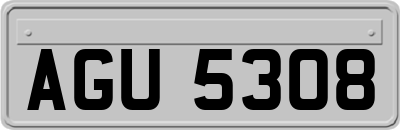 AGU5308