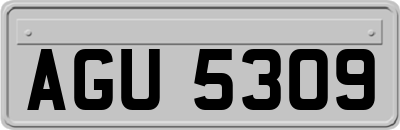 AGU5309