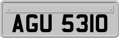 AGU5310