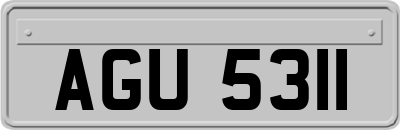 AGU5311