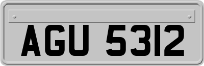 AGU5312