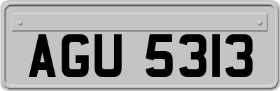 AGU5313
