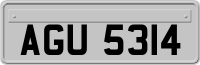 AGU5314