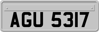 AGU5317