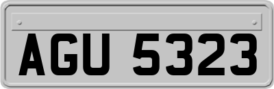 AGU5323
