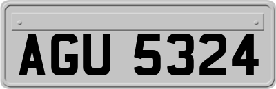 AGU5324