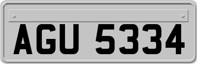AGU5334
