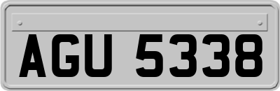 AGU5338