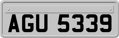 AGU5339