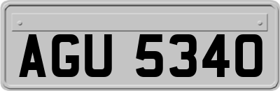 AGU5340