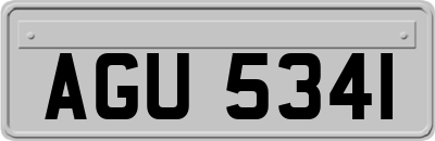 AGU5341