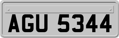 AGU5344