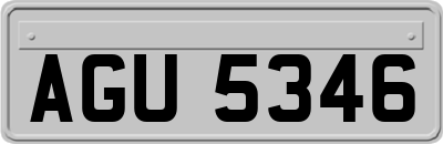 AGU5346