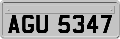 AGU5347