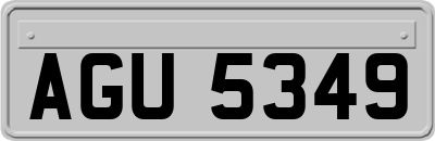 AGU5349