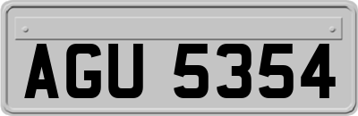 AGU5354