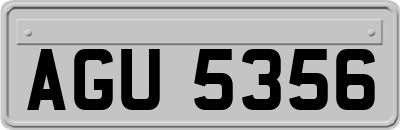 AGU5356