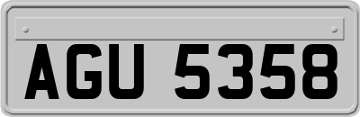 AGU5358